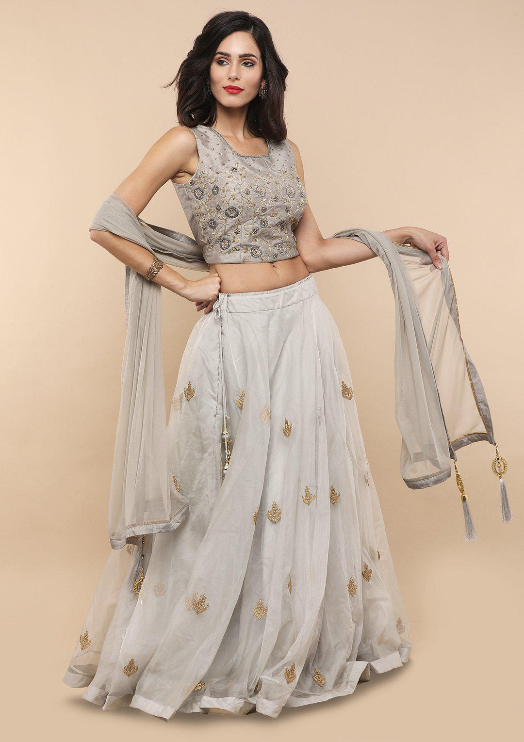 Grey Zardozi Work Net Designer Lehenga-Koskii