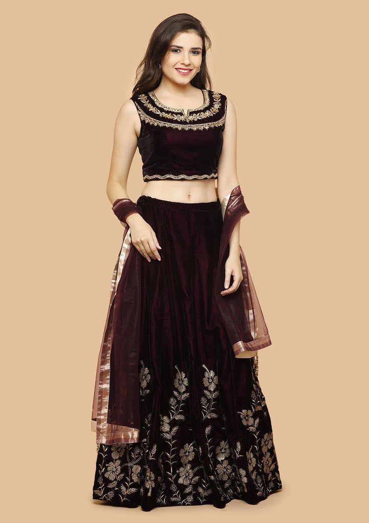 Wine and Maroon Embellished Velvet Designer Lehenga-Koskii