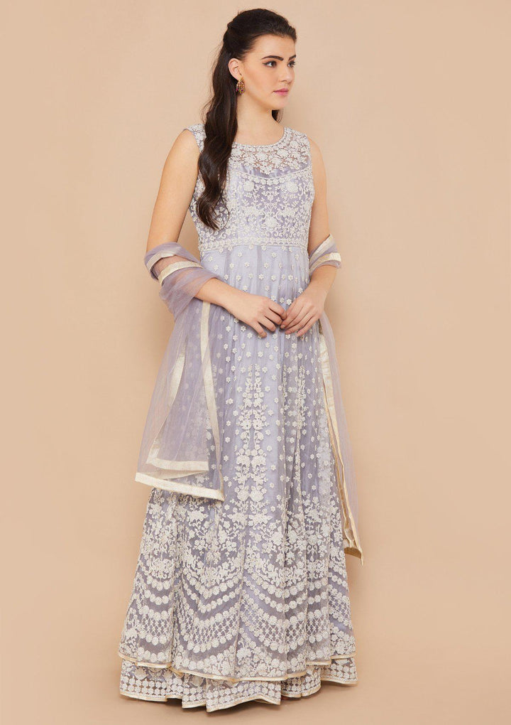 Grey Zariwork Net Designer Gown-Koskii