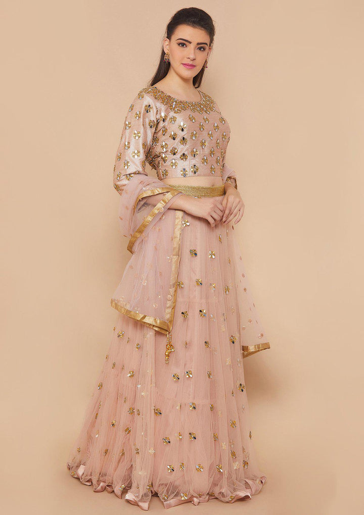 Dusty Rose Mirrorwork Net Designer Lehenga-Koskii