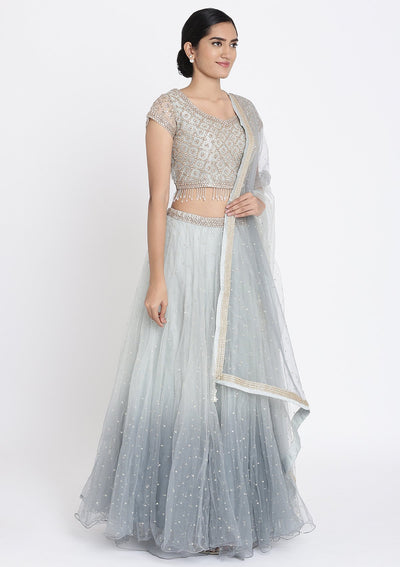 Light Grey Stonework Net Designer Lehenga - koskii