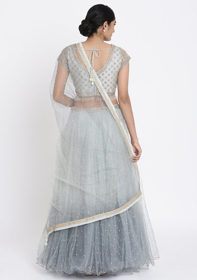 Light Grey Stonework Net Designer Lehenga - koskii