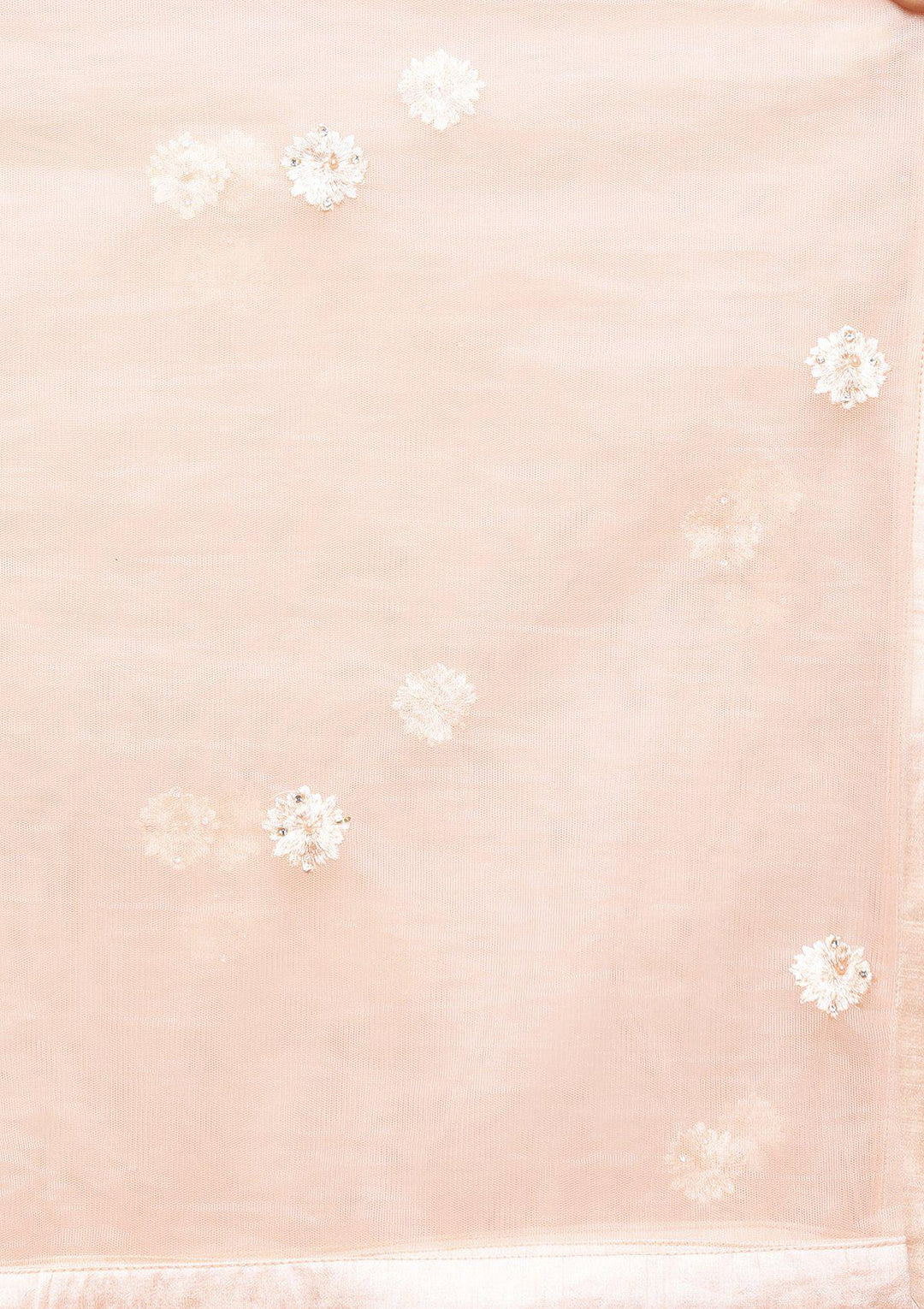 Peach Threadwork Net Designer Lehenga-Koskii