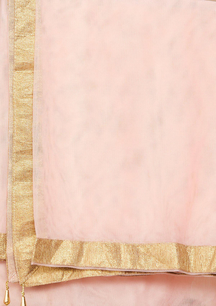 Rose Pink Cutdana Raw-silk Designer Lehenga-Koskii