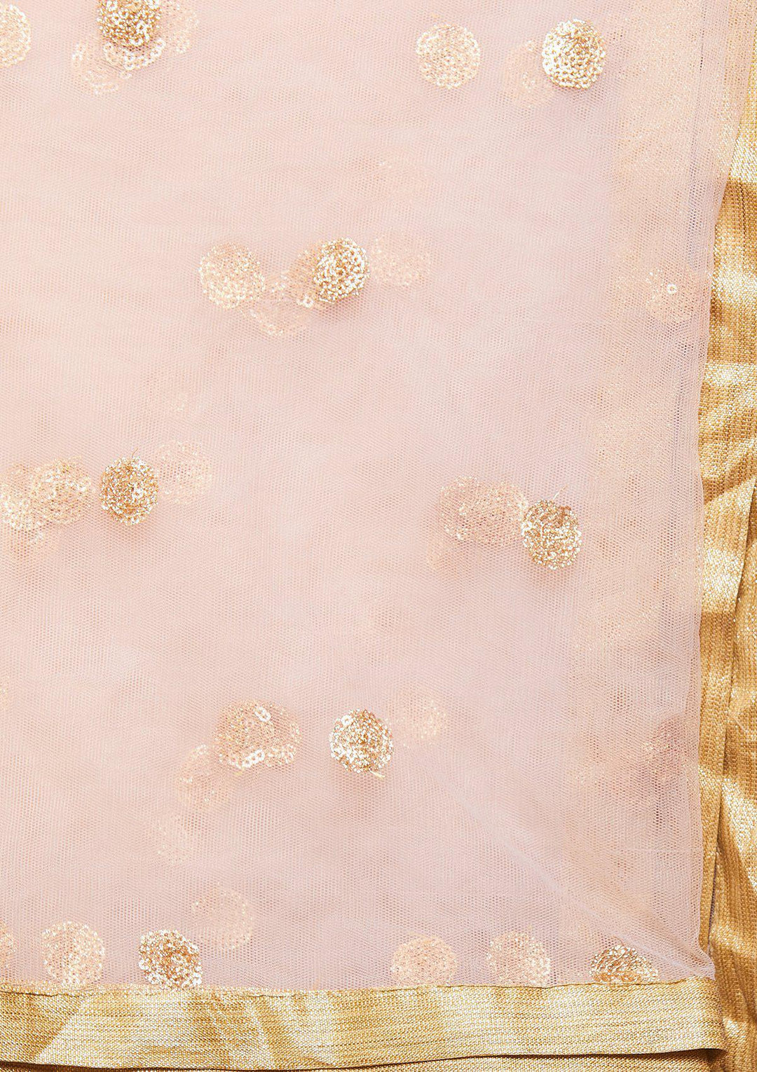 Dusty Rose Mirrorwork Net Designer Lehenga-Koskii