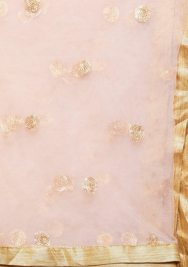 Dusty Rose Mirrorwork Net Designer Lehenga-Koskii