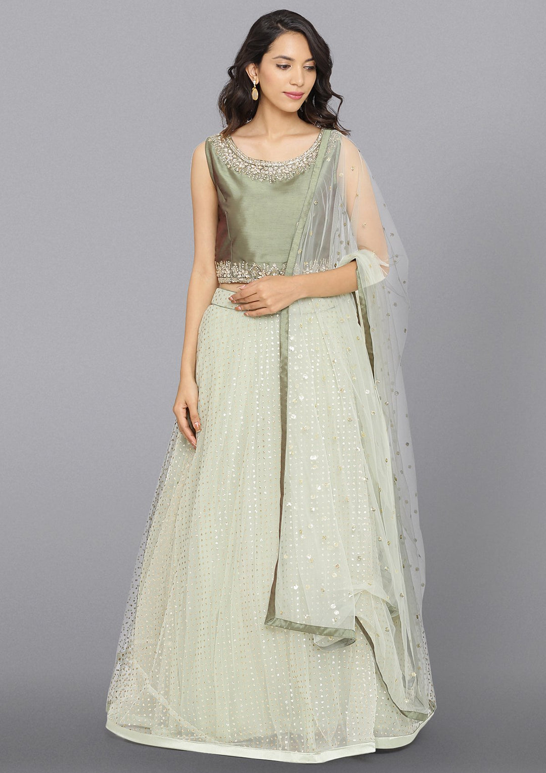 Pista Green Stonework Net Designer Lehenga-Koskii