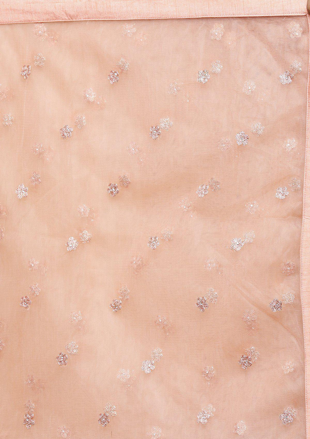 Peach Threadwork Net Designer Lehenga-Koskii