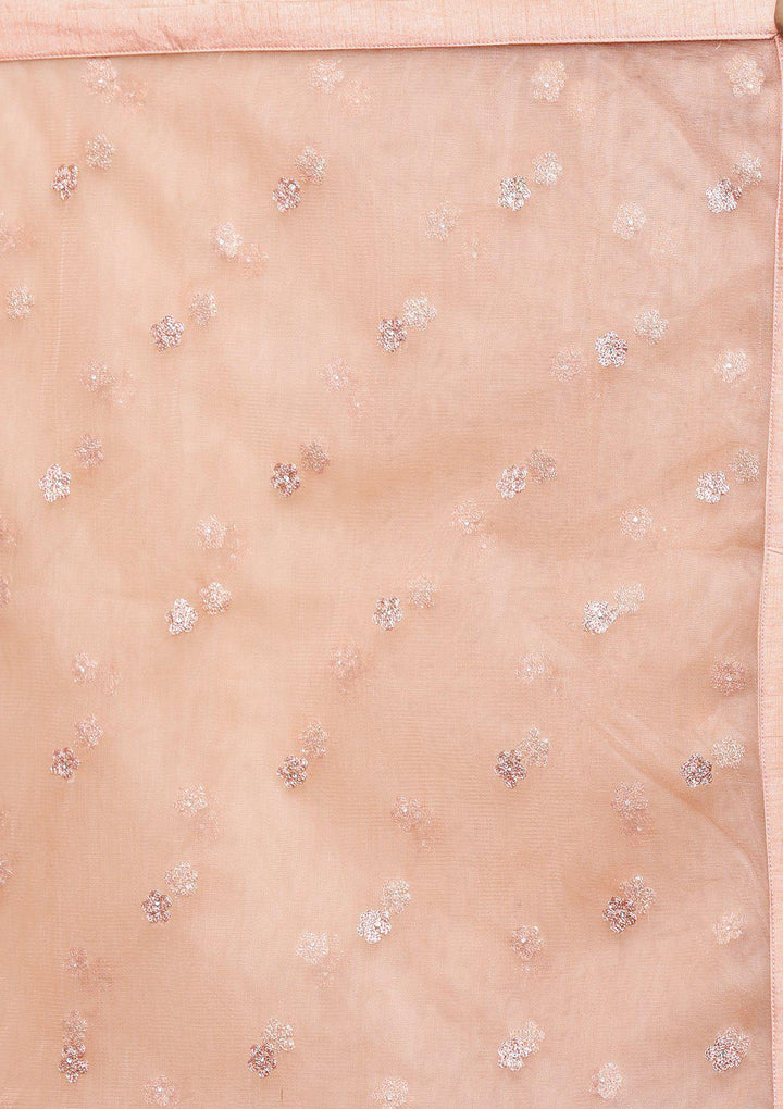 Peach Threadwork Net Designer Lehenga-Koskii