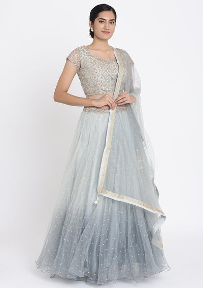 Light Grey Stonework Net Designer Lehenga - koskii
