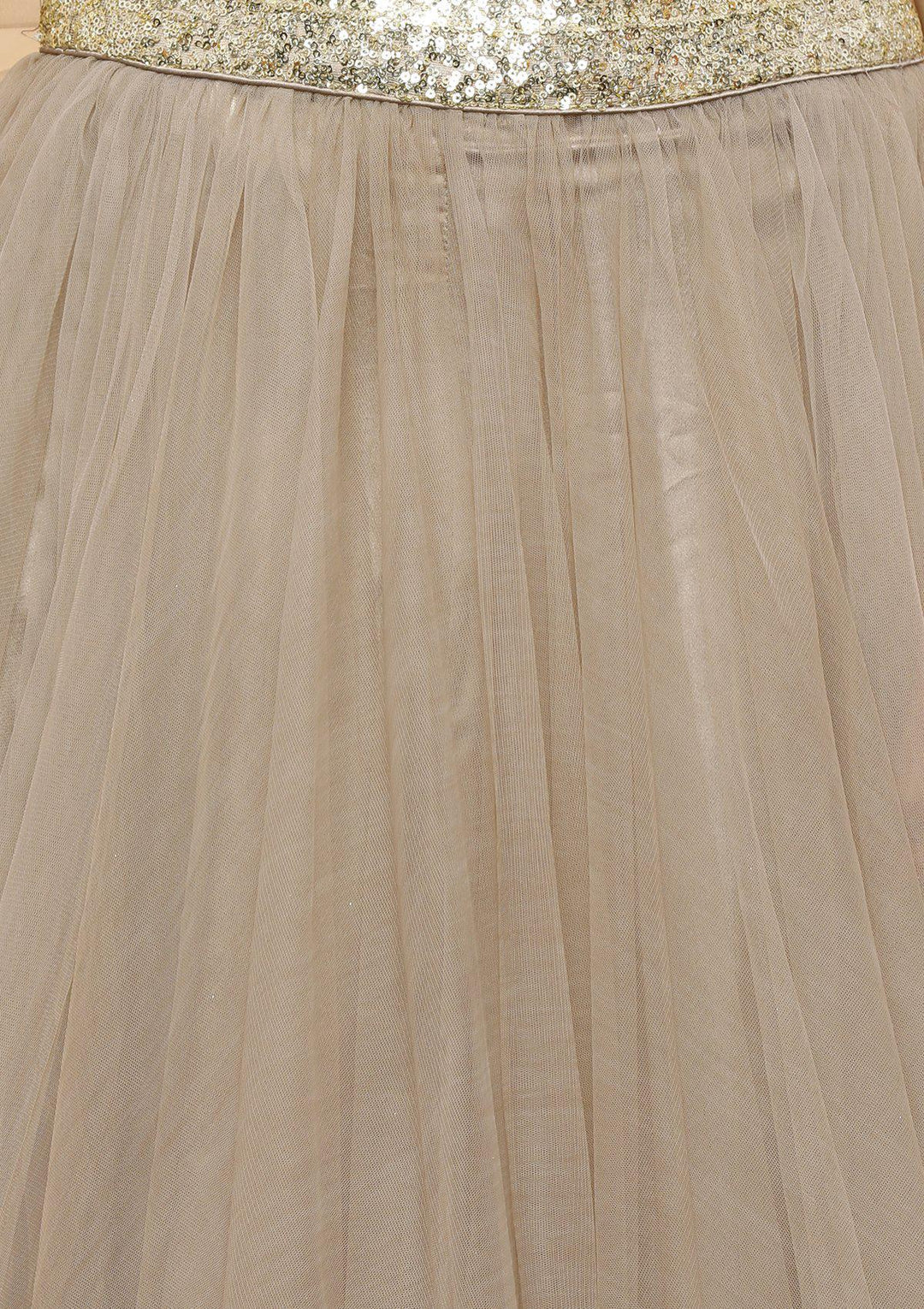 Koskii silver grey net Lehenga-Koskii