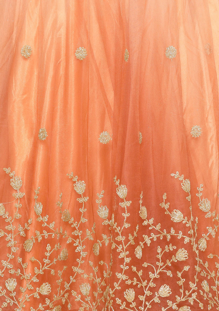 Peach Thread Work Net Designer Lehenga-Koskii
