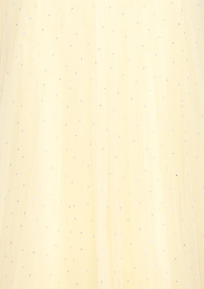 Light Yellow Thread Work Net Designer Gown-Koskii