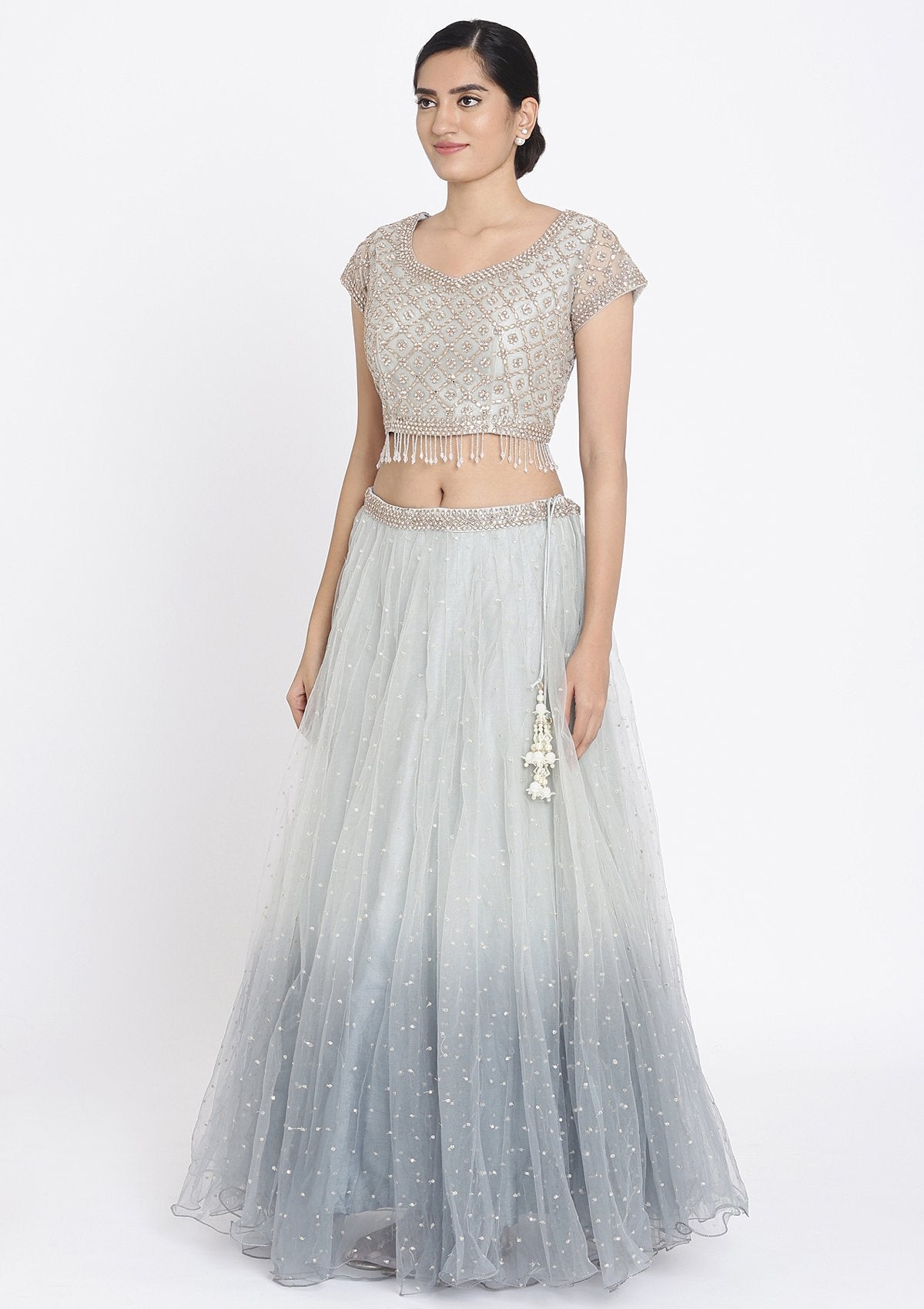 Light Grey Stonework Net Designer Lehenga - koskii