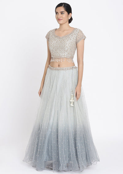 Light Grey Stonework Net Designer Lehenga - koskii
