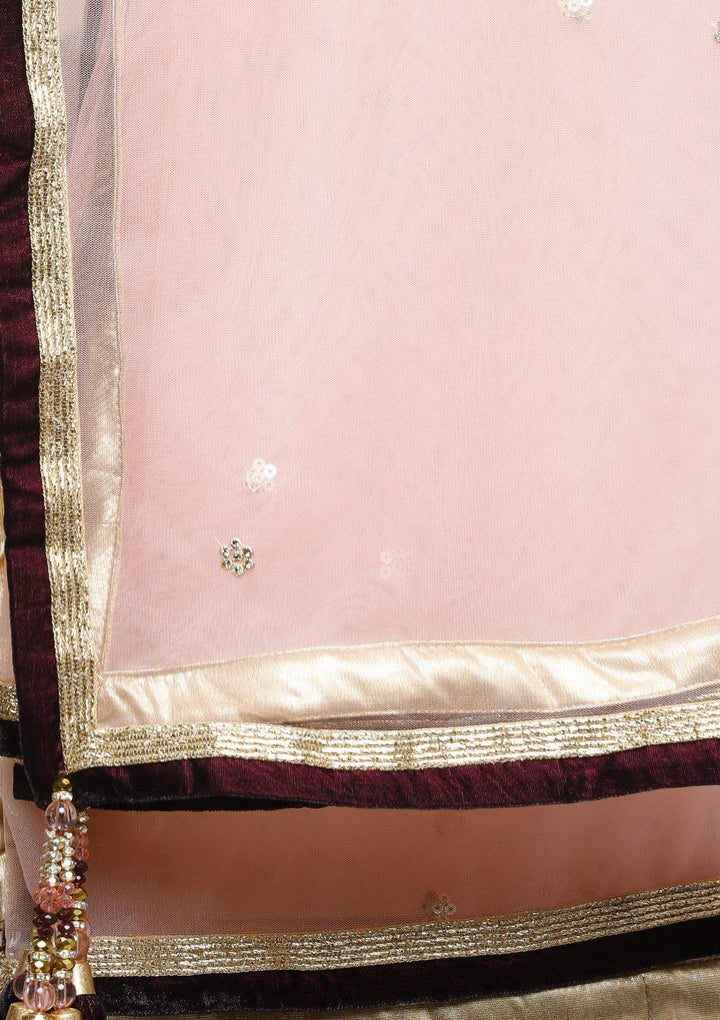 Wine and Gold Velvet Designer Lehenga-Koskii