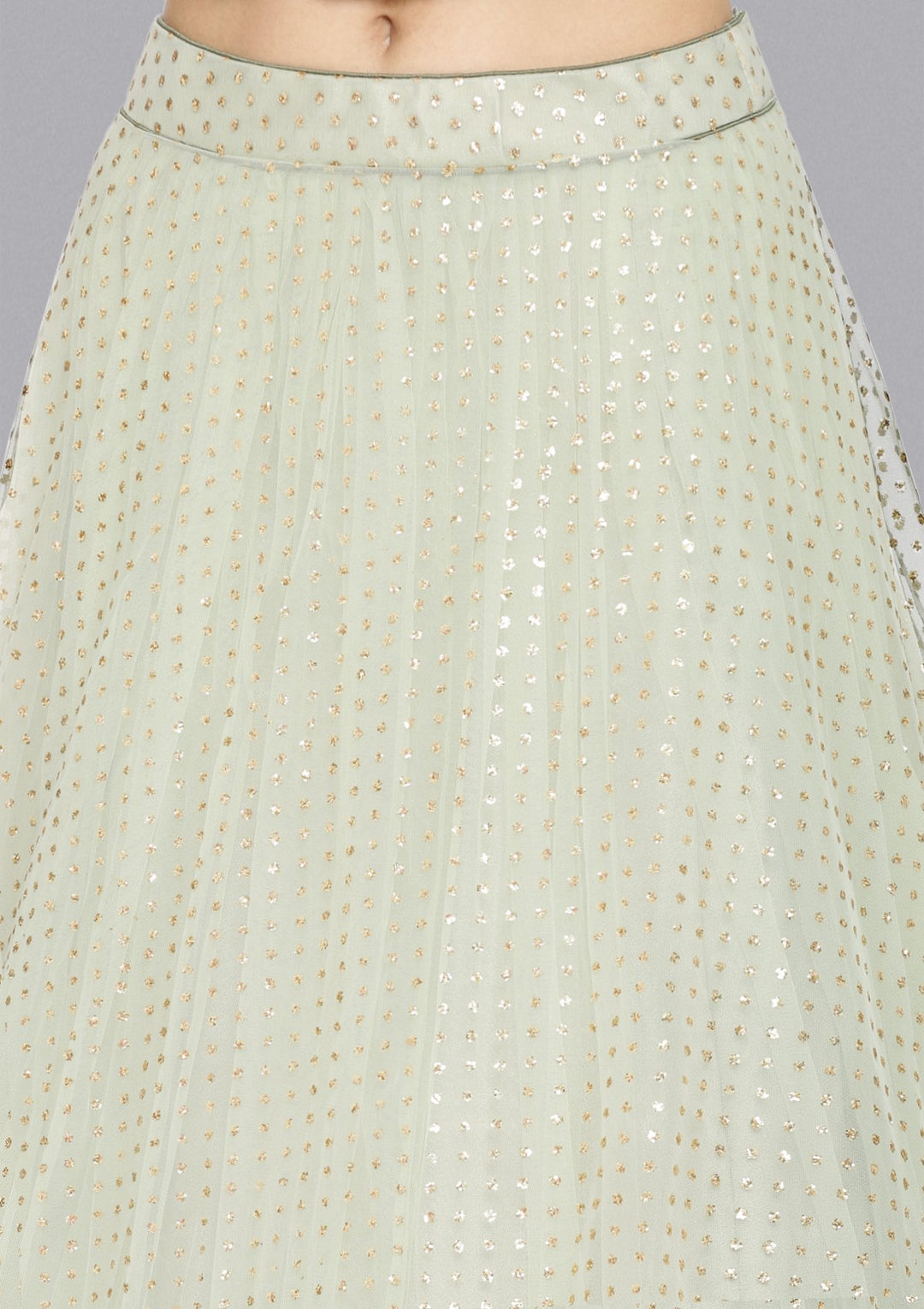 Pista Green Stonework Net Designer Lehenga-Koskii