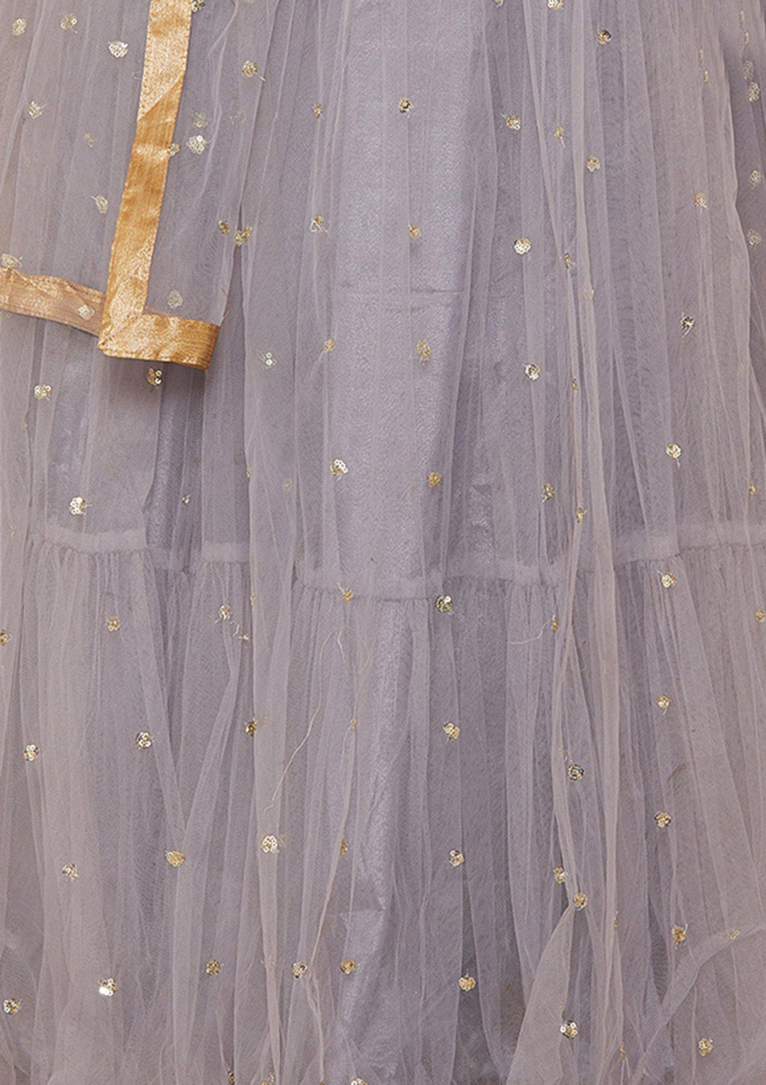 Grey Stonework Net Designer Lehenga-Koskii