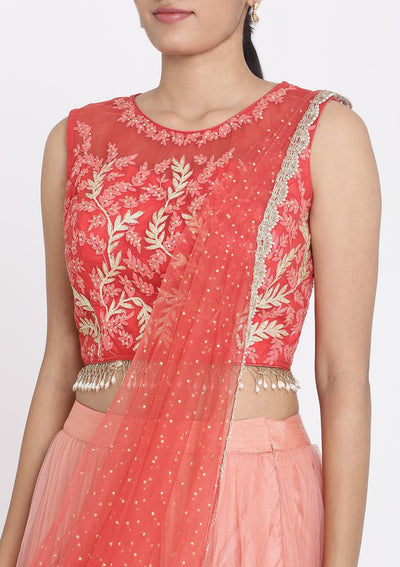 Red And Pink Threadwork Net Designer Lehenga - koskii
