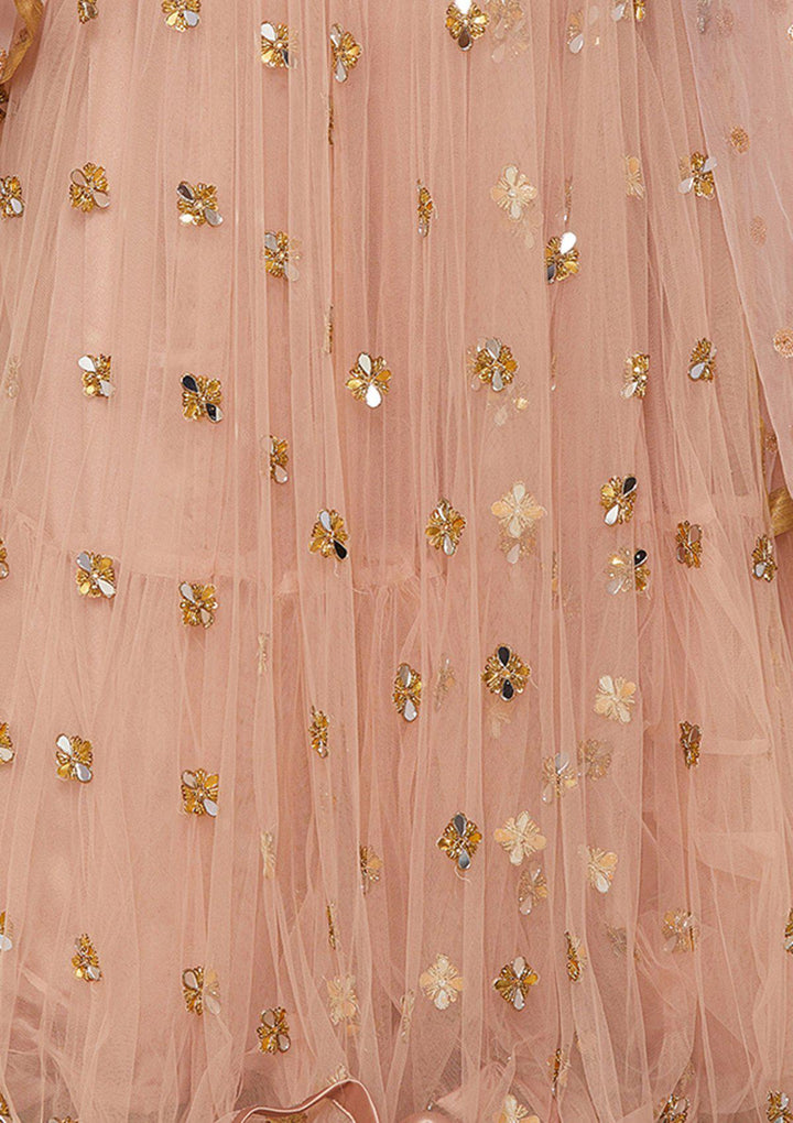 Dusty Rose Mirrorwork Net Designer Lehenga-Koskii