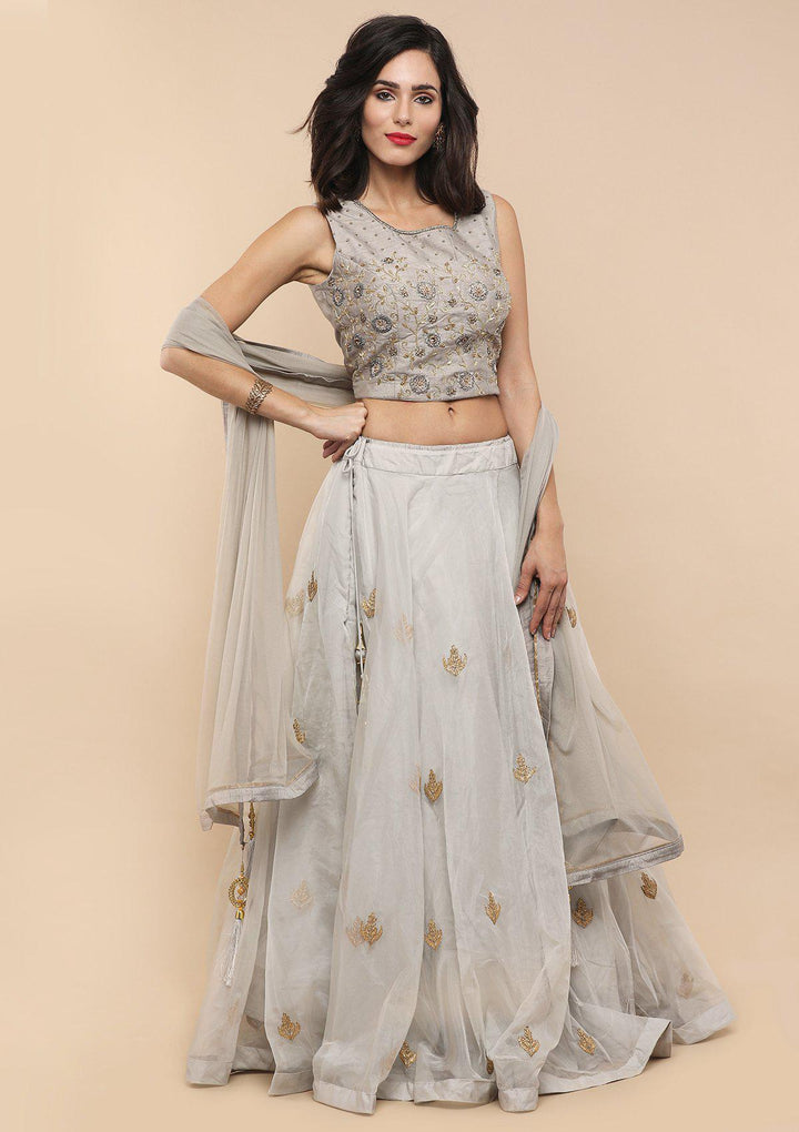 Grey Zardozi Work Net Designer Lehenga-Koskii