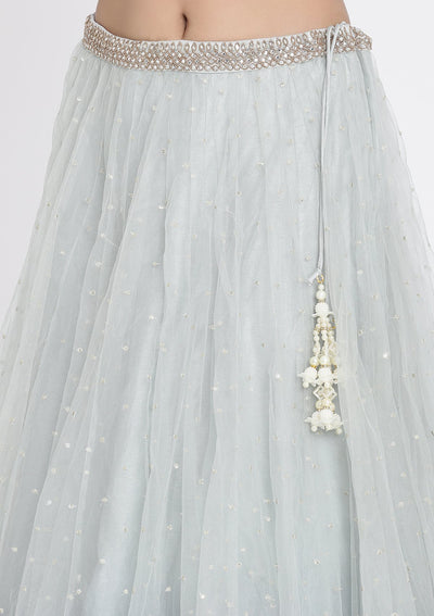 Light Grey Stonework Net Designer Lehenga - koskii