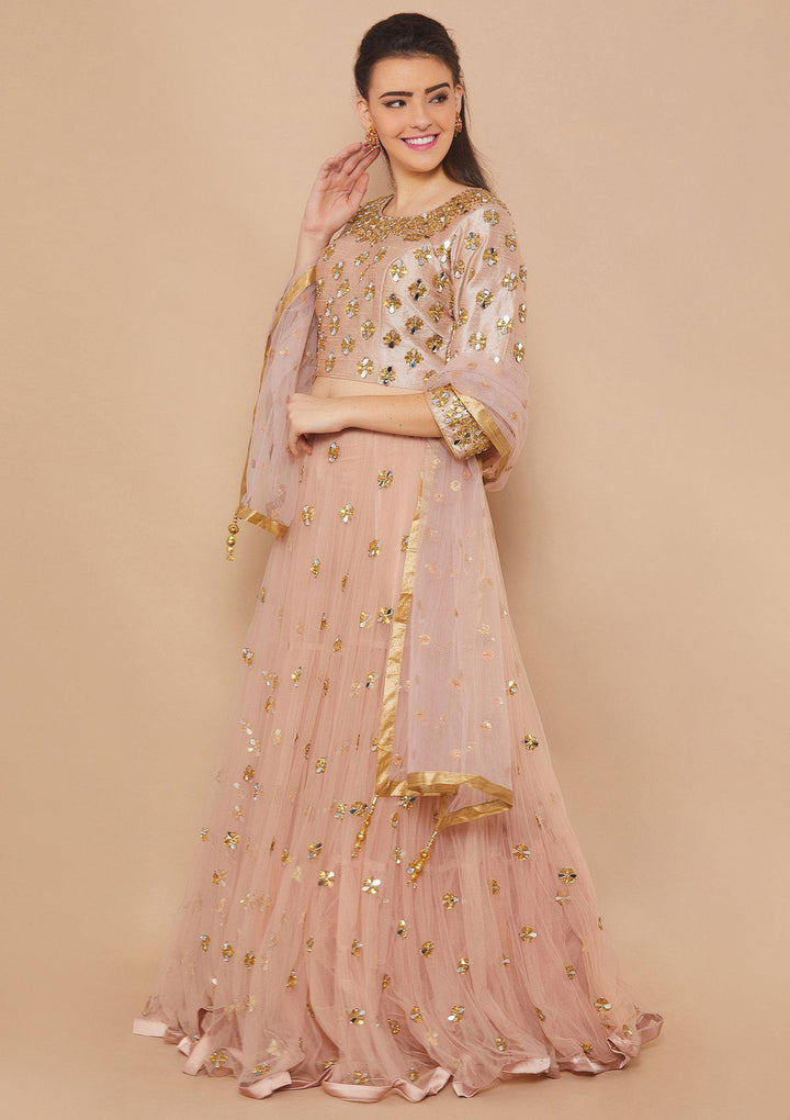 Dusty Rose Mirrorwork Net Designer Lehenga-Koskii