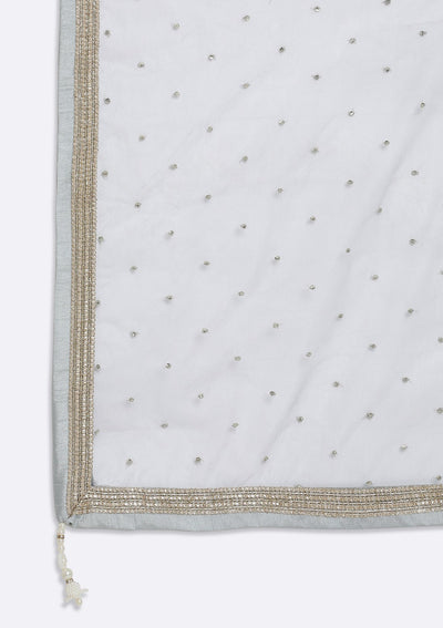 Light Grey Stonework Net Designer Lehenga - koskii