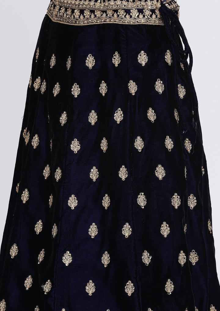 Navy Blue Zariwork Velvet Designer Lehenga-Koskii