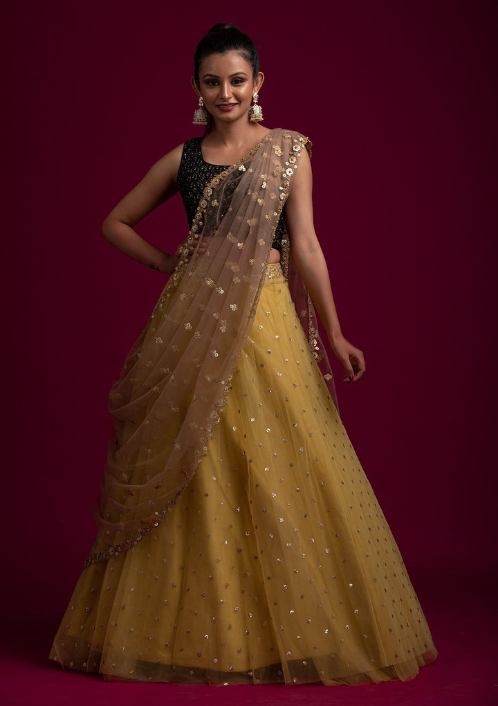 Brown Sequins Net Designer Dupatta - koskii