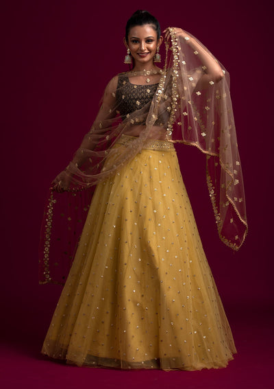 Brown Sequins Net Designer Dupatta - koskii