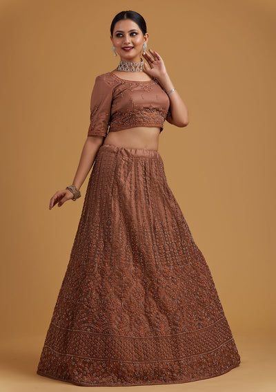 Light Brown Silver Stonework Net Designer Semi-Stitched Lehenga - koskii