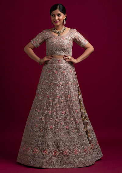 Light Brown Silver Stonework Net Designer Semi-Stitched Lehenga - koskii