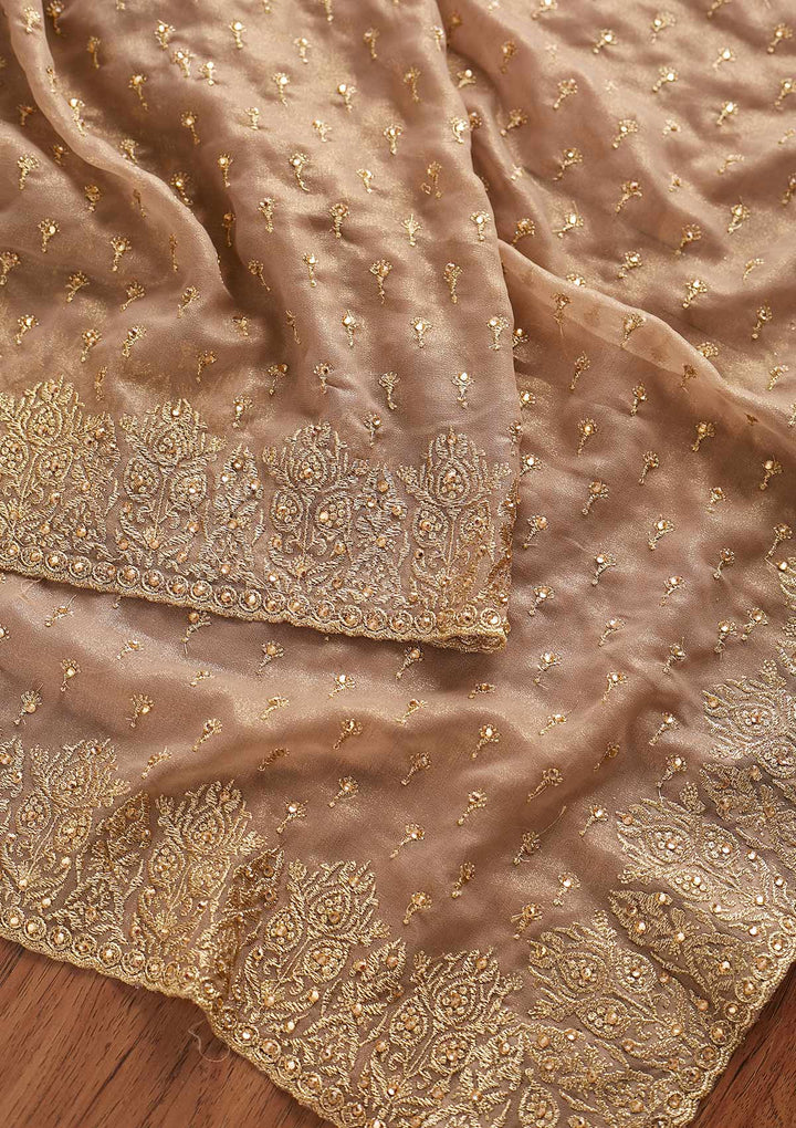 Light Brown Zariwork Shimmer Designer Saree - koskii