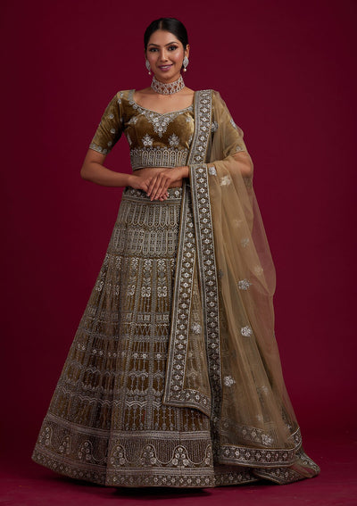 Mehendi Silver Stonework Velvet Designer Semi-Stitched Lehenga - koskii