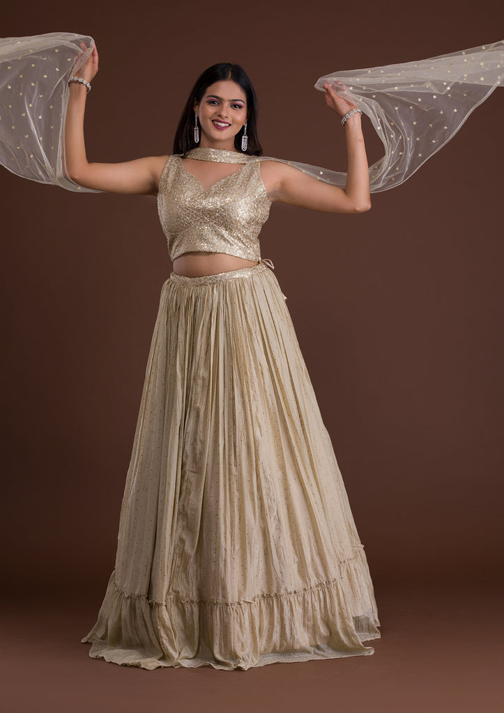Party Wear Ladies Shimmer Net Lehenga and Velvet Blouse with Flared Dupatta