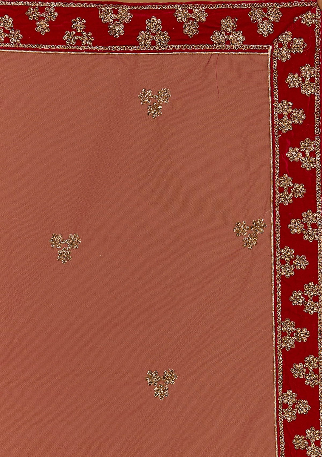 Rani Pink Zariwork Velvet Designer Semi-Stitched Lehenga - Koskii