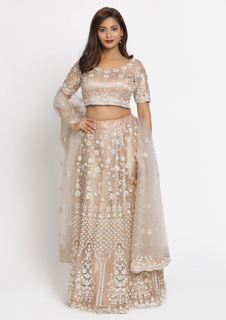 Light Brown Cutdana Net Designer Semi-Stitched Lehenga - koskii