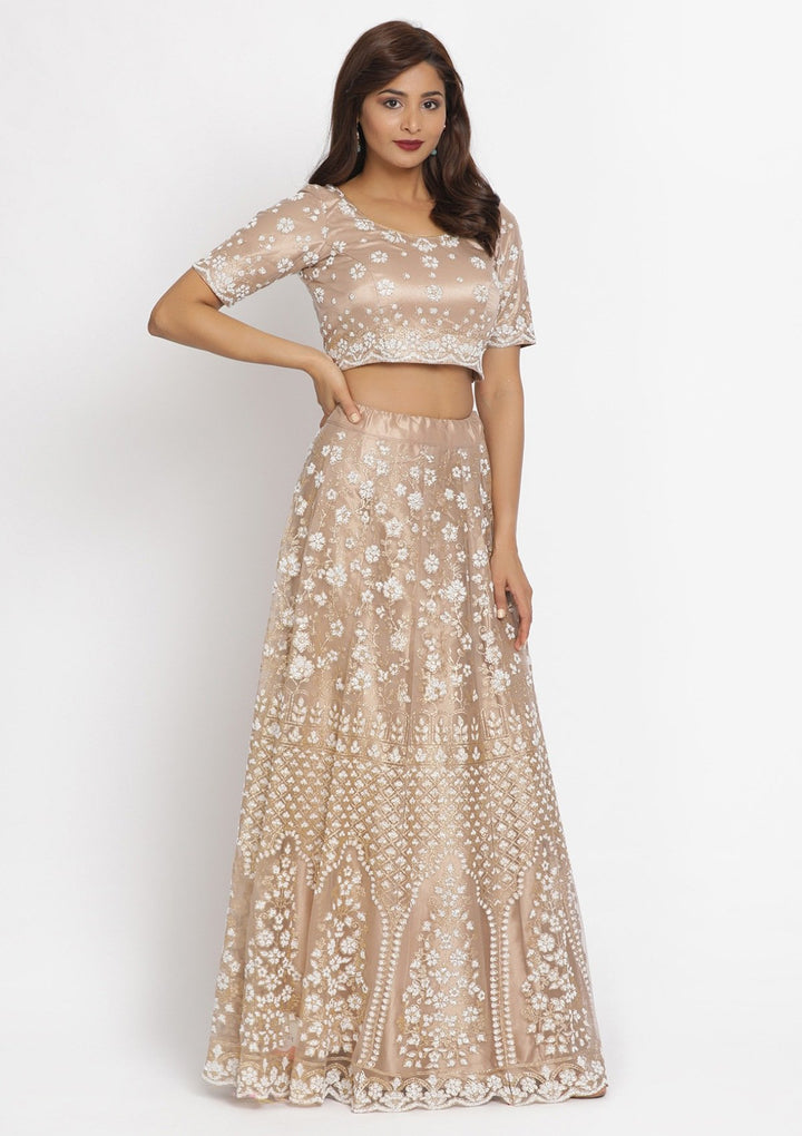 Light Brown Cutdana Net Designer Semi-Stitched Lehenga - koskii