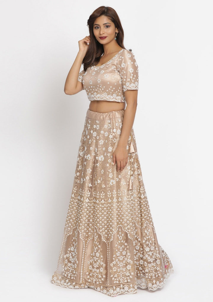 Light Brown Cutdana Net Designer Semi-Stitched Lehenga - koskii