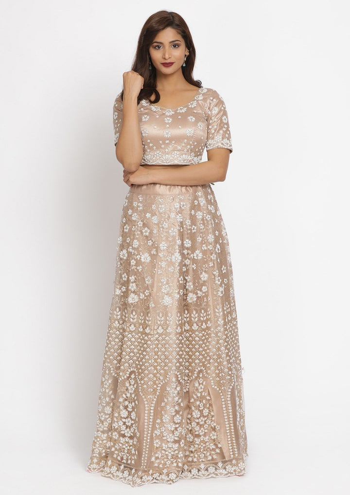 Light Brown Cutdana Net Designer Semi-Stitched Lehenga - koskii