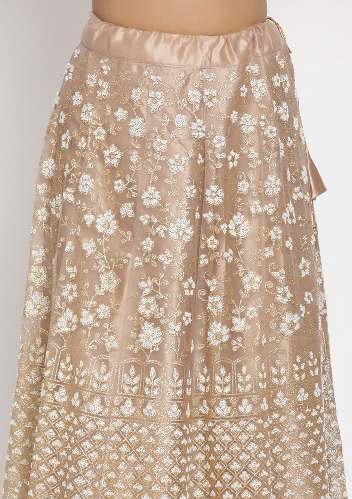 Light Brown Cutdana Net Designer Semi-Stitched Lehenga - koskii