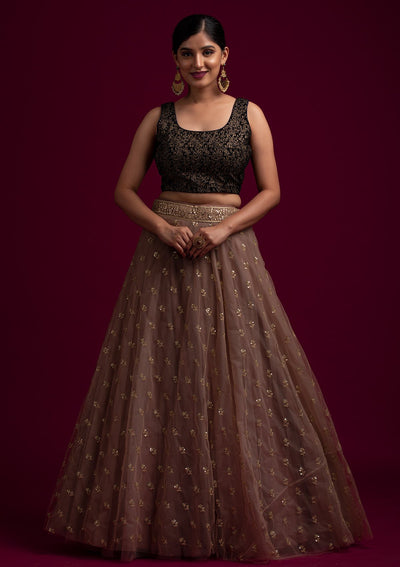 Light Brown Sequins Net Designer Skirt - koskii