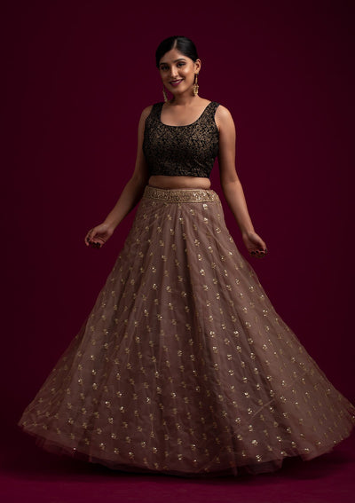 Light Brown Sequins Net Designer Skirt - koskii