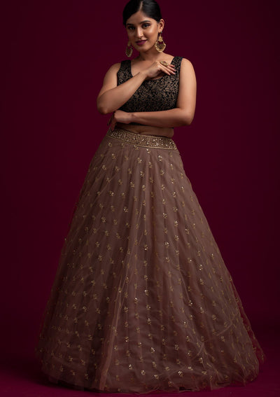 Light Brown Sequins Net Designer Skirt - koskii