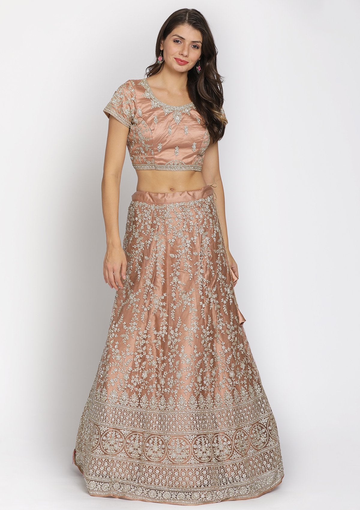 Light Brown Silver Stonework Net Designer Semi-Stitched Lehenga - koskii
