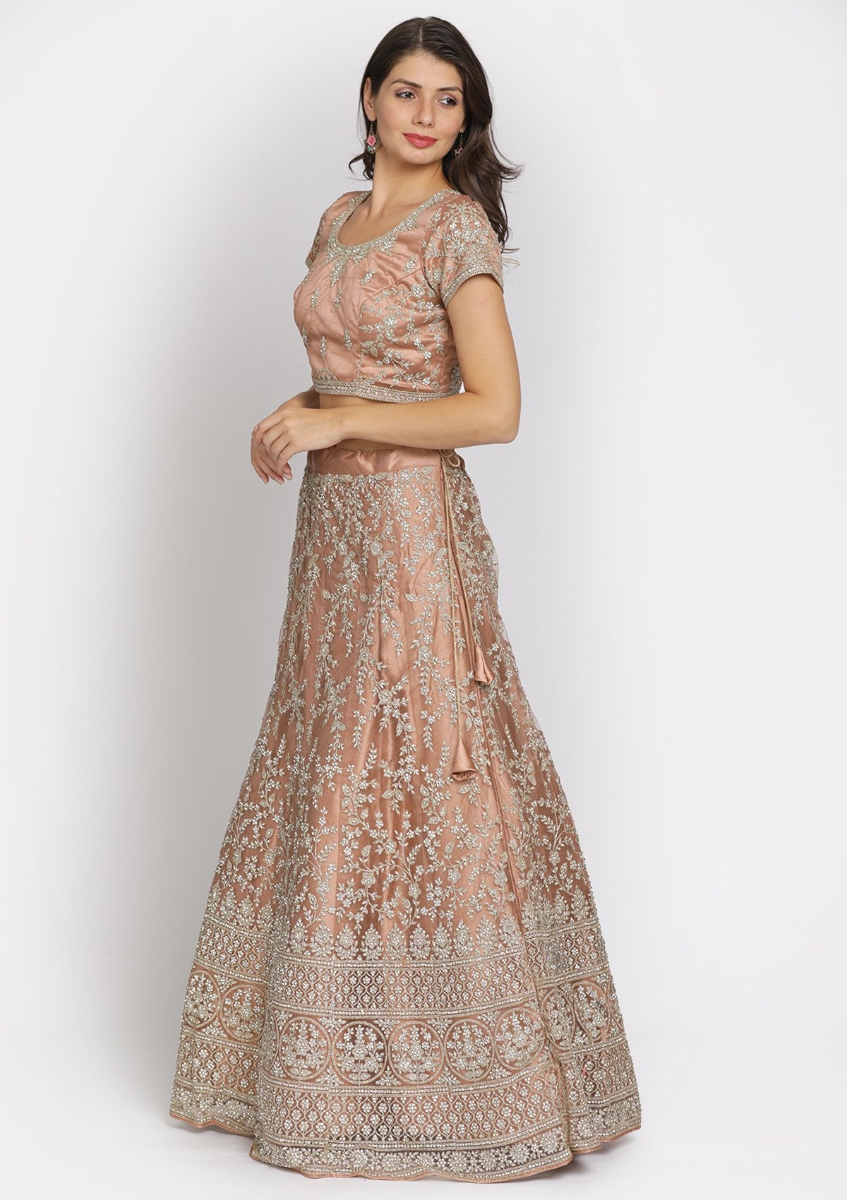 Light Brown Silver Stonework Net Designer Semi-Stitched Lehenga - koskii