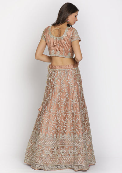 Light Brown Silver Stonework Net Designer Semi-Stitched Lehenga - koskii
