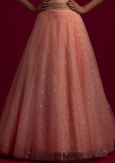 Peach Sequins Net Designer Skirt - koskii